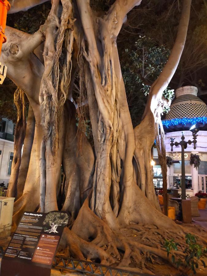 City Center Alicante - Cisneros Ngoại thất bức ảnh